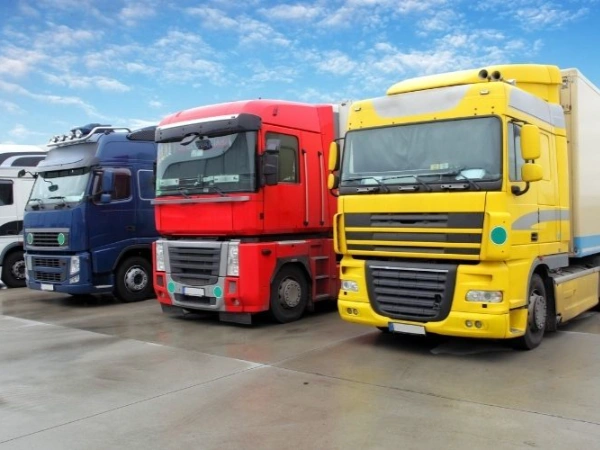 Antalya Kiraz Nakliye